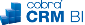 Logo CRM BI klein frei